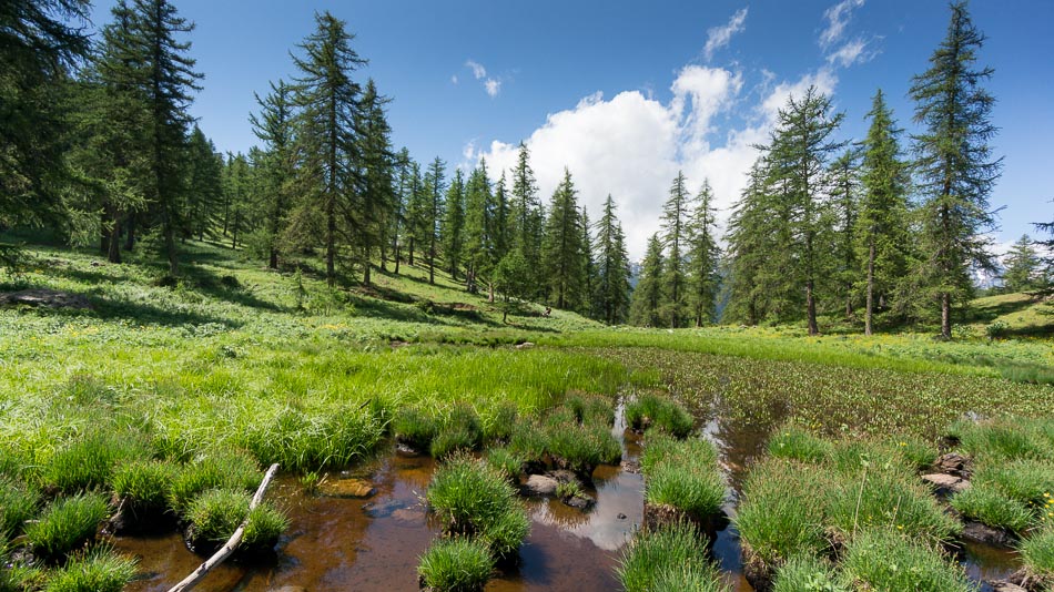 Lac des Sagnes : juste au dessus du Col de Pousterle