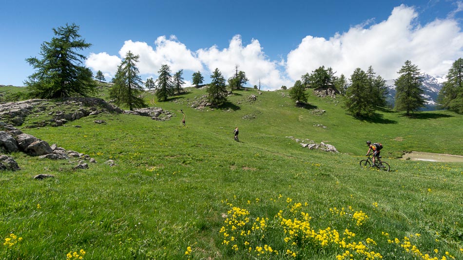 Prairie sommitale des Têtes : avant d'entamer la mémorable descente du Bois de la Pignée