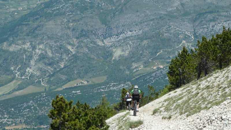 On plonge : Il est haut ce chauve et la descente n'en est que plus longue