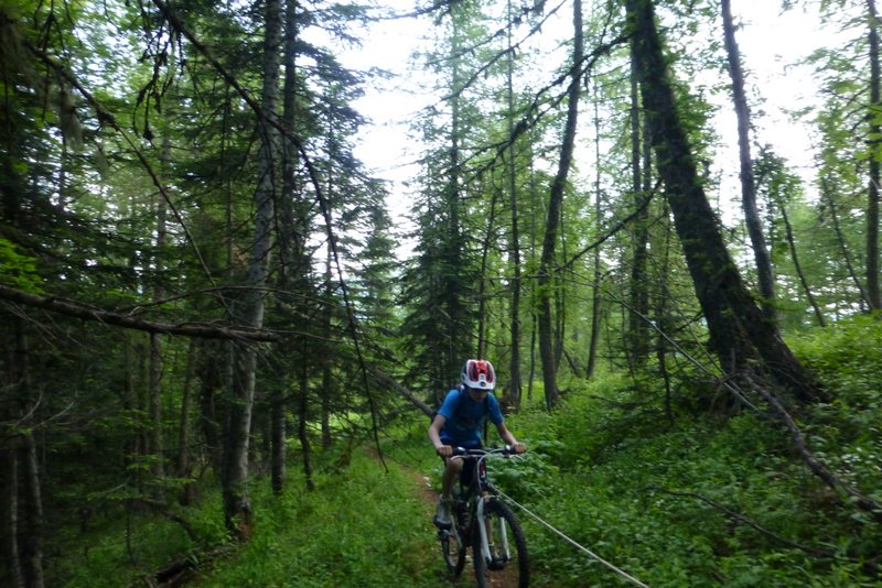 #4 Baisse de Sanson : Par le sentier évitant la piste militaire Baisse de Sanson : Par le sentier évitant la piste militaire