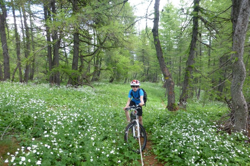 Montée au Bertrand : Pause entre deux raidillons