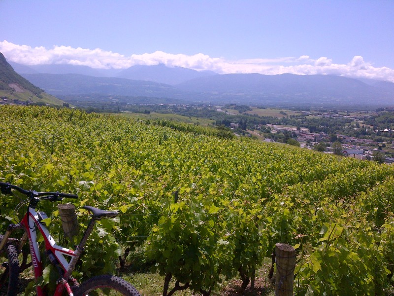 Tour des vignobles de Savoie : Les vignobles de Chignin, Begeron et Mondeuse aussi!