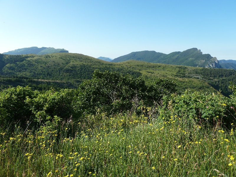 Chauvet et Montagne de Melan : Bien vert tout ça