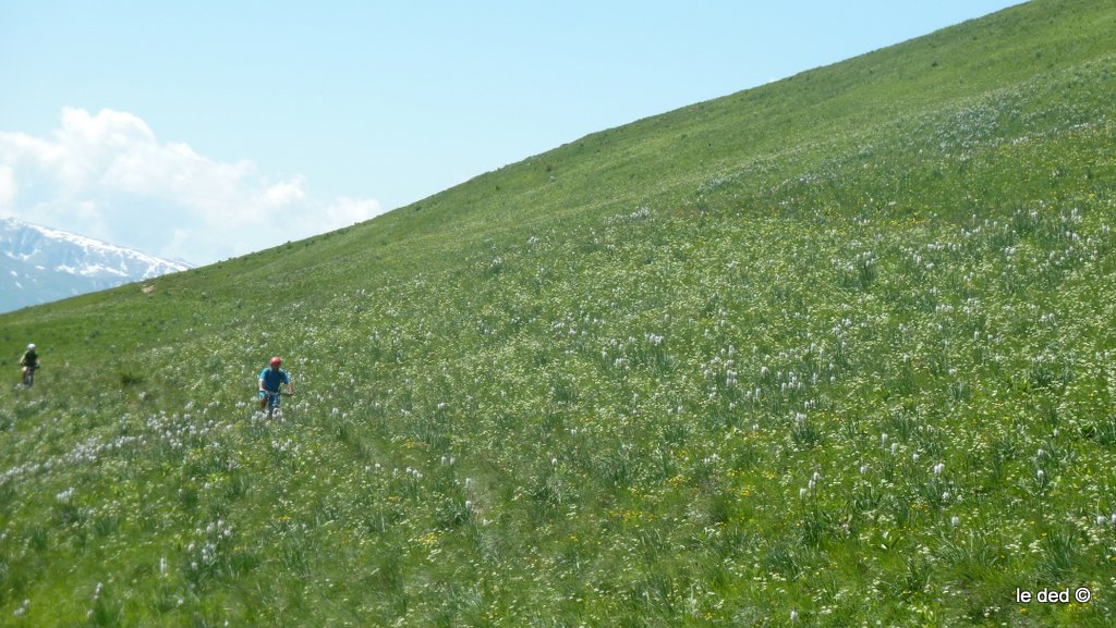 traversée côte 2000m : on rejoint depuis les crêtes, le Plan de Cuir