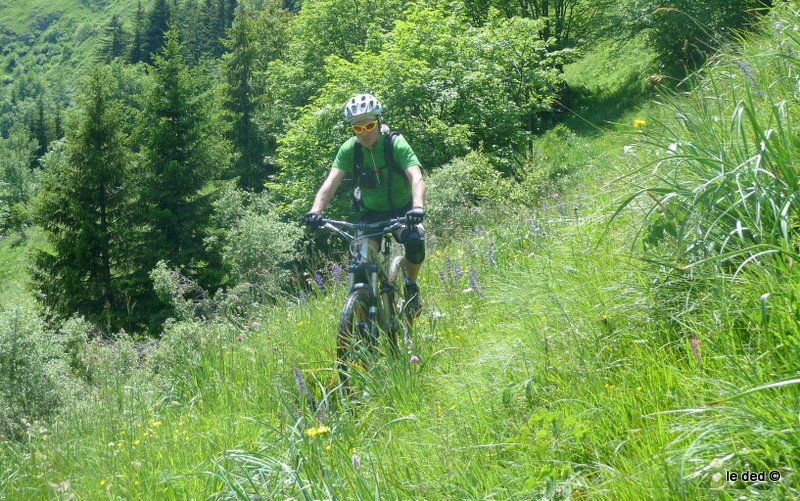 #15 sentier de Plan de cuir : Sylvain est habillé pour la circonstance dans ce beau sentier mais amplement végétatif sentier de Plan de cuir : Sylvain est habillé pour la circonstance dans ce beau sentier mais amplement végétatif