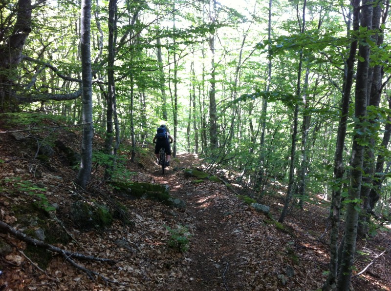 Raid Enduro Ardèche : Descente du col des Pergeyres, trop bon !