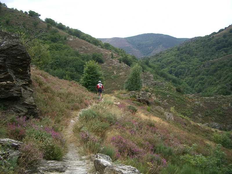 Sentier dans les Cévennes