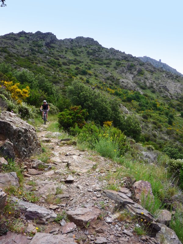 Chemin de l'eau