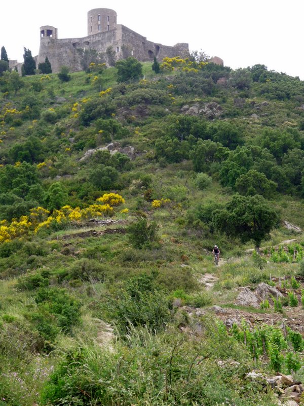 La descente du Fort de Sant Elme