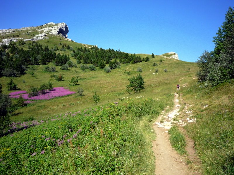 Belle arrivée au col de l'Arc avec un peu de roulage possible