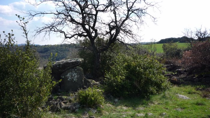 Un dolmen caché un peu en dehors de la piste