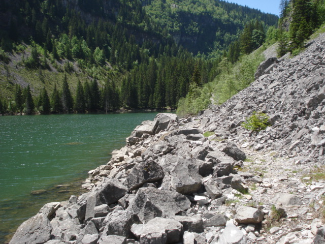 sentier à Flanc du lac