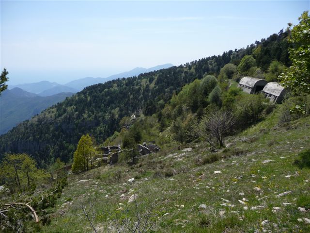 Tête de l'Alpe