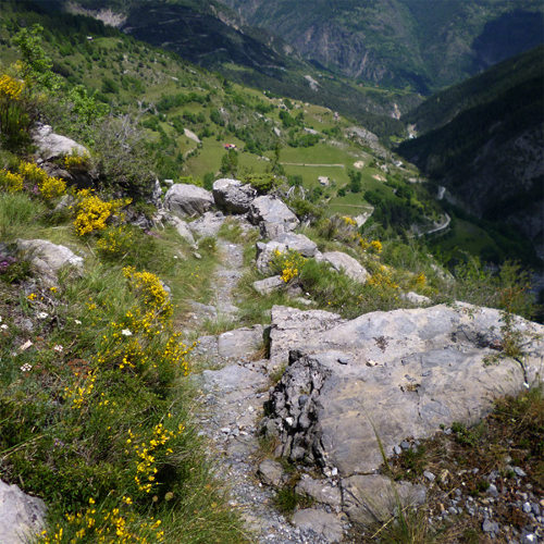Une vue du sentier entre Chabanals et la piste de Demandols: exposé sérieusement par endroits.