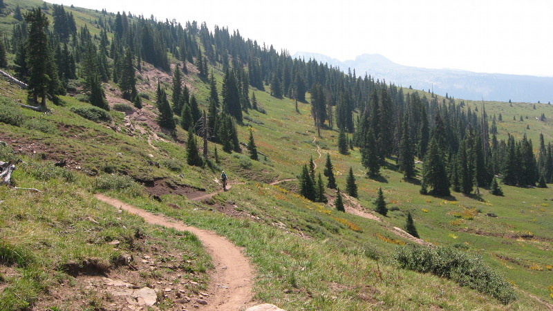 Un Trail qui ondule pour notre plus grand bonheur - Colorado Trail, De Denver à Durango (Colorado) 