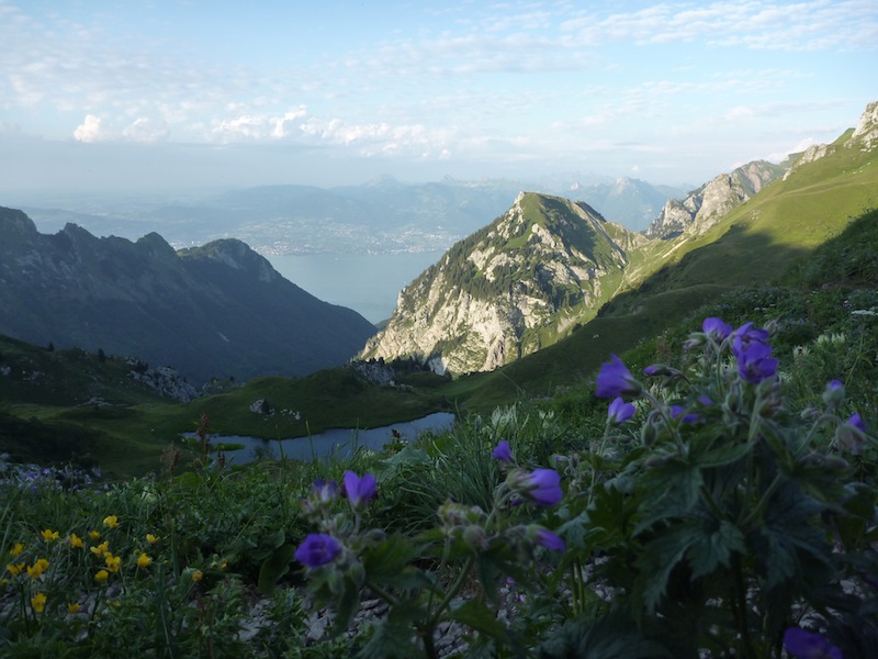 J1 Col de Bise