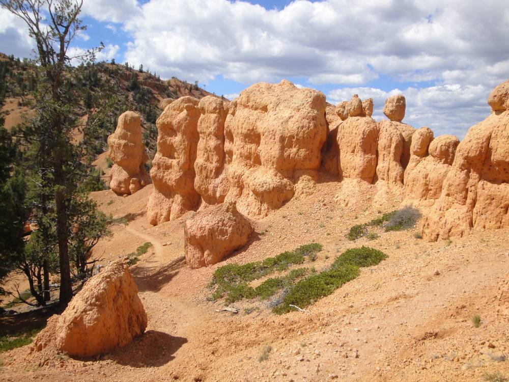 Thunder Mountain Trail