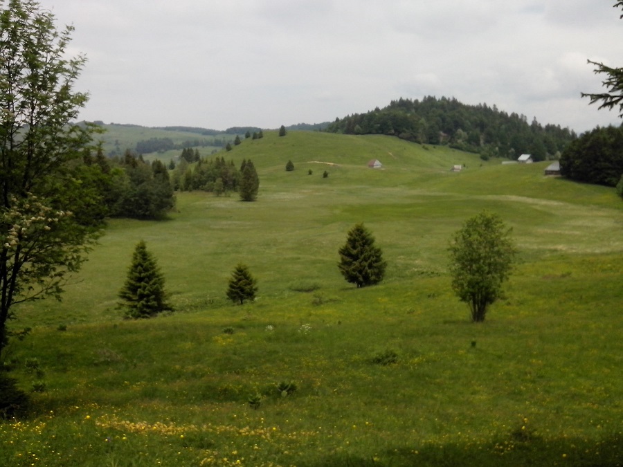 Vue sur la tourbière des Creusates