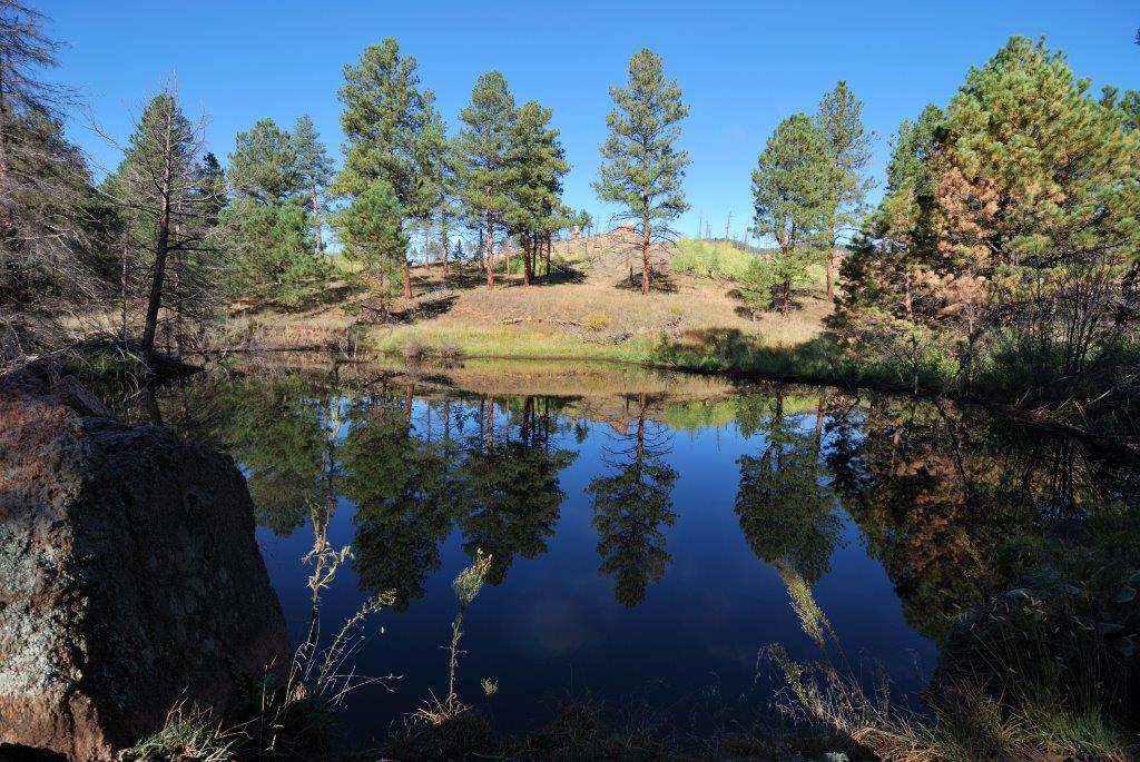 Petit lac planqué