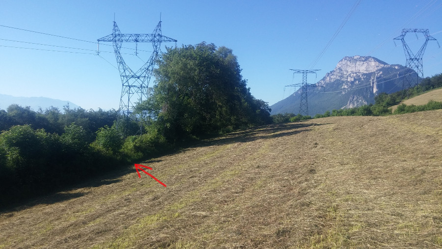 Le passage de la haie au début de la descente, lors de la traversée du pré.