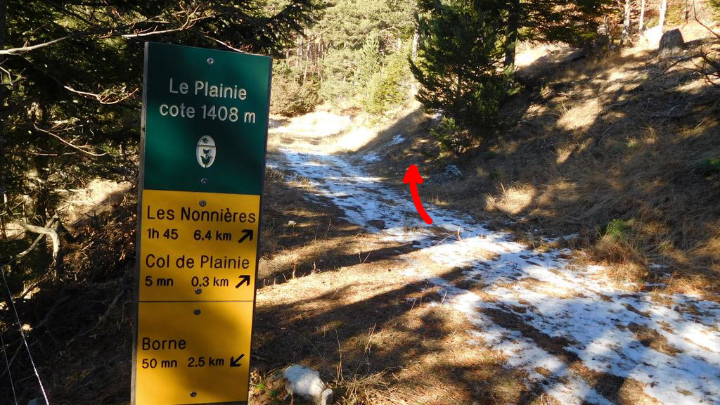 Au Plainie (1408m), le sentier part à droite pour rejoindre le col de Plainie.