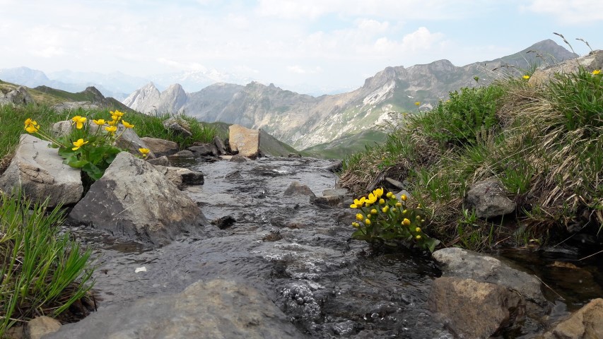Emissaire du lac de la Montagnette sur fond de Grand Perron des Encombres