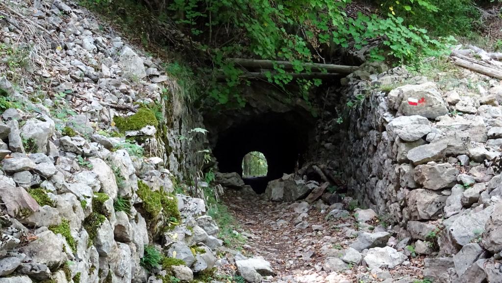le tunnel de la mina de les Graus