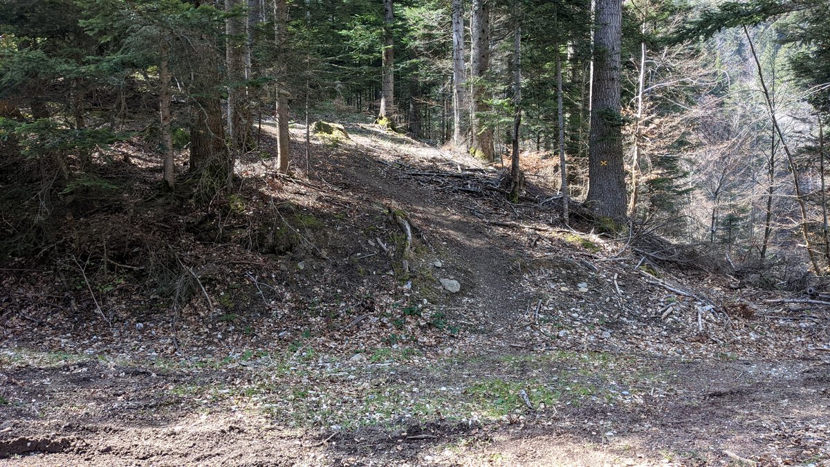 Arrivée du sentier sur la traversée de piste