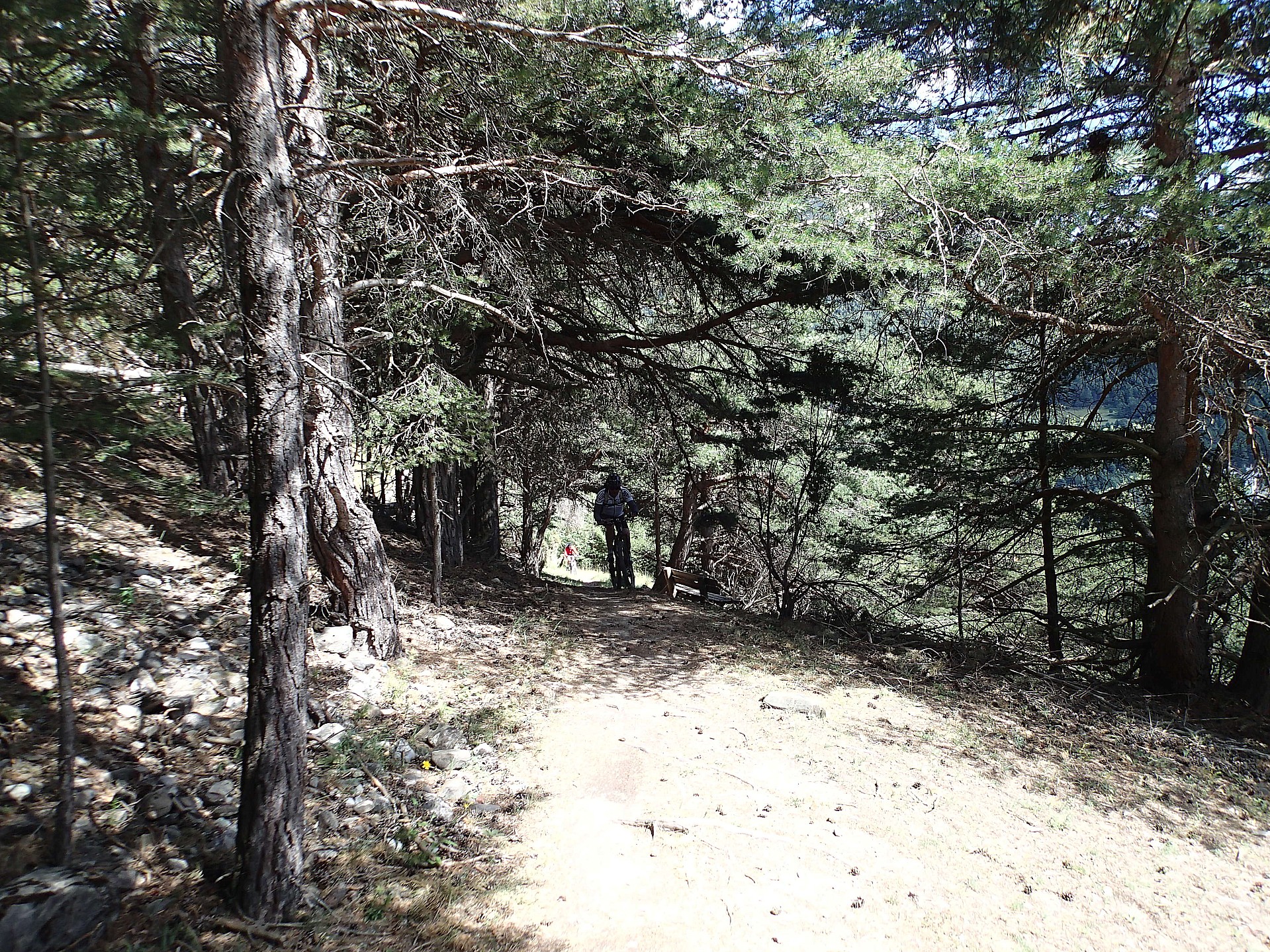 Le sentier découverte est parfois en sous bois.