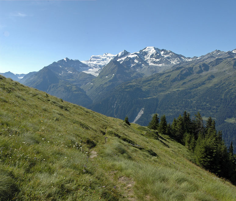 Val de Bagnes : Montée vers le col termin