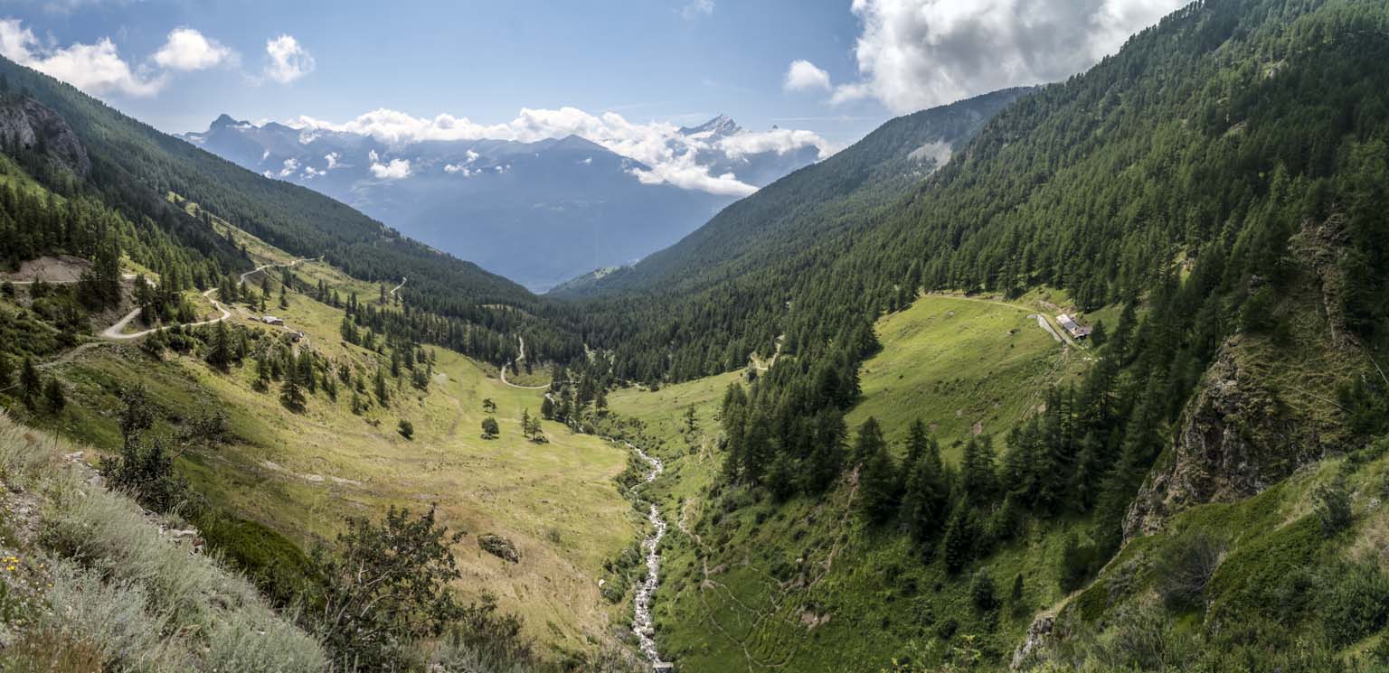 Alpage de Moron : vue sur le vallon de montée