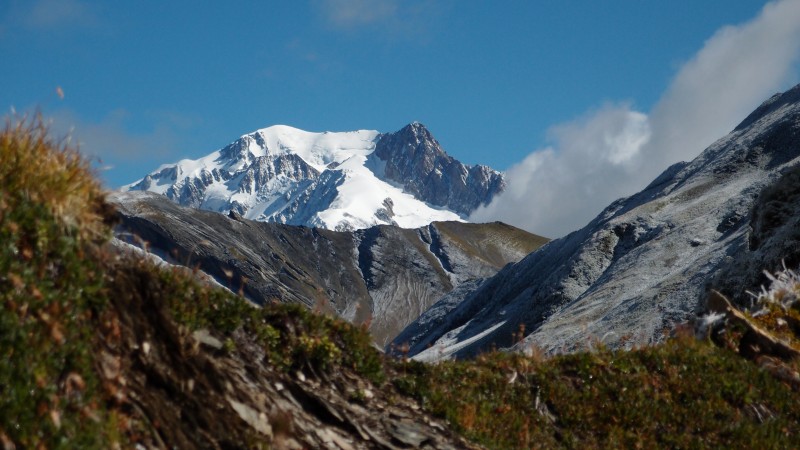 Summit : Mont Blanc