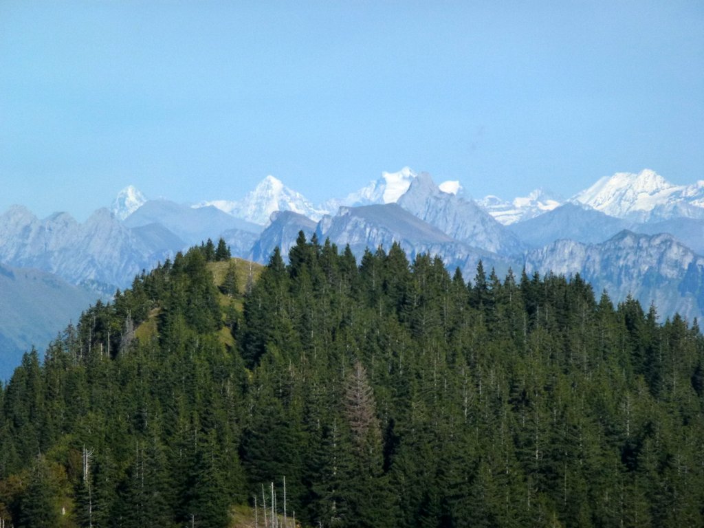 Pic des Mémises : Vue sur l'Oberland au fond