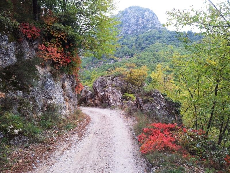 Route stratégique du Paraïs : Montée agréable et tranquille dans les belles couleurs d'automne.