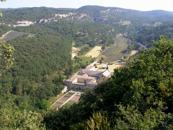 L'Abbaye de Sénanque : Vue de la route qui va sur Gordes
