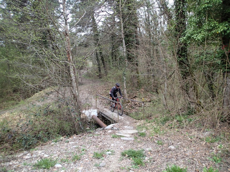 Le petit pont de bois... : Qui tient toujours!