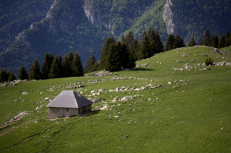 #2 Habert de Pravouta : un petit coin de Chartreuse Habert de Pravouta : un petit coin de Chartreuse