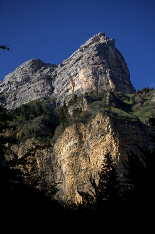 #11 Sous la Dent Sous la Dent