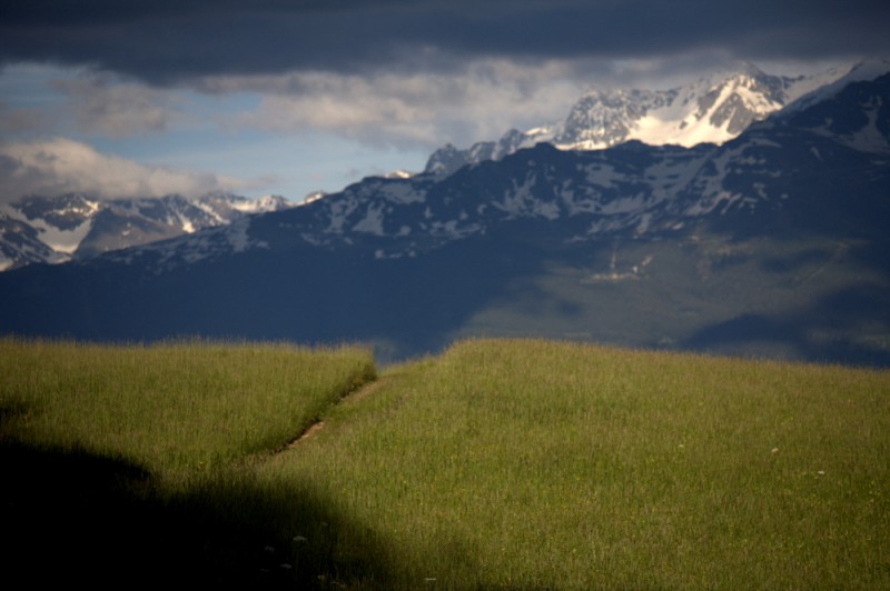 #14 Invitation à rouler : à travers champ Invitation à rouler : à travers champ