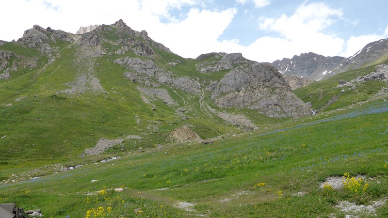 Alpe du Lauzet : Ambiance Fleurie
