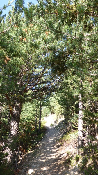 Sentier Montée : Au dessus du Villard