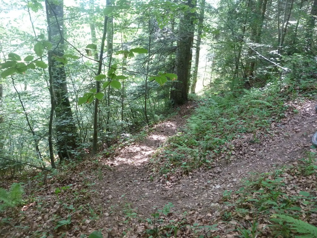 #2 Bien propre cette épingle Bien propre cette épingle