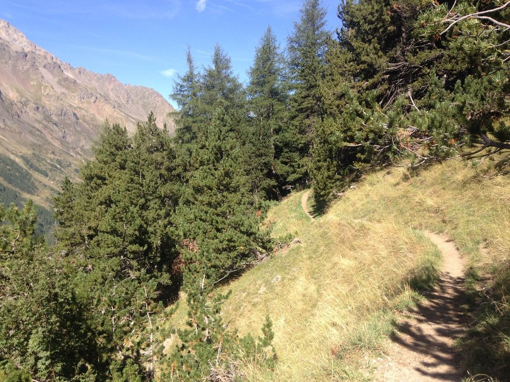 #5 Chemin du Roy Chemin du Roy