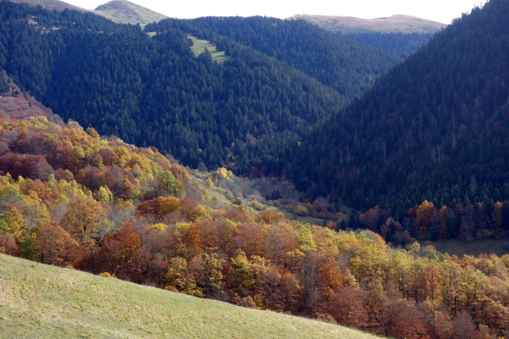 #12 Vallon d Vallon d'Ardengost