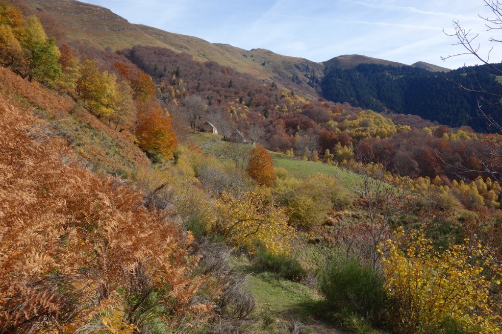 #11 Granges dans le vallon d Granges dans le vallon d'Ardengost