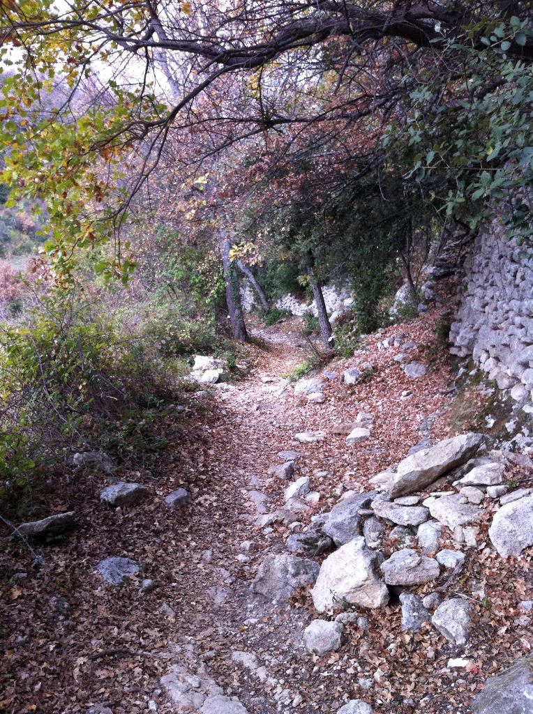 Le sentier qui descend au vallon de l'Aigue brun.
