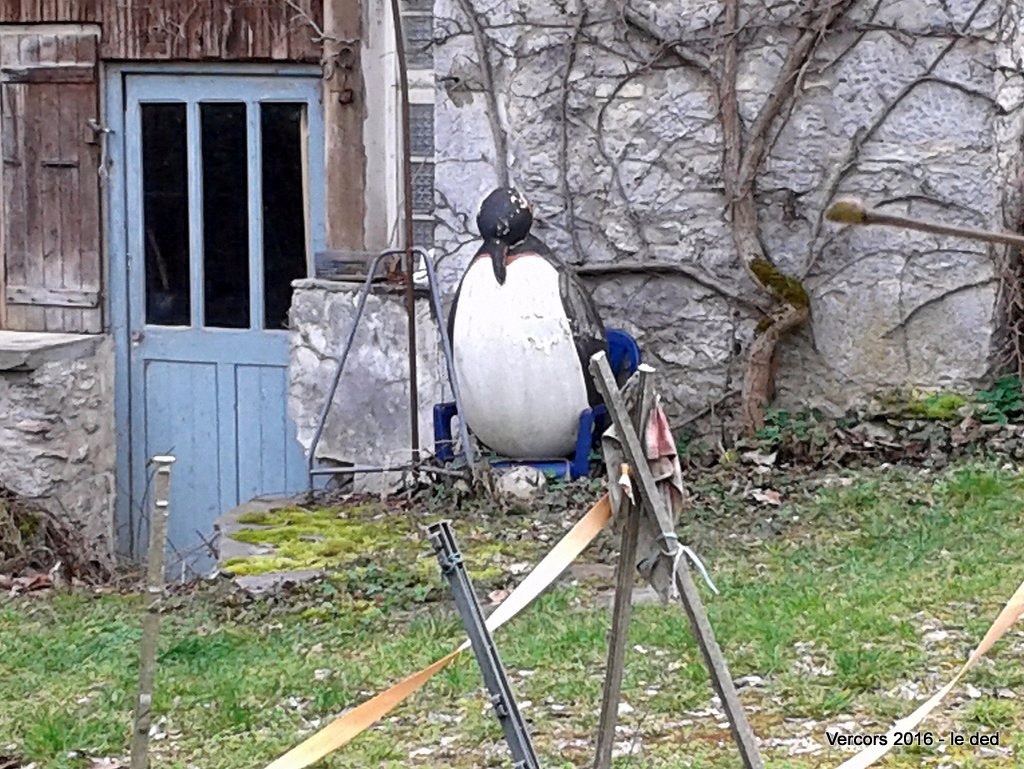 il me fait penser à un autre manchot/pingouin, "Casse toi, pôv con" pourrait-il me lancer !