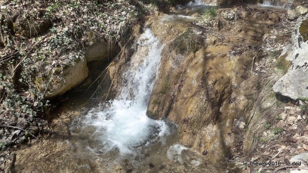 Ruisseau bien chargé en calcaire