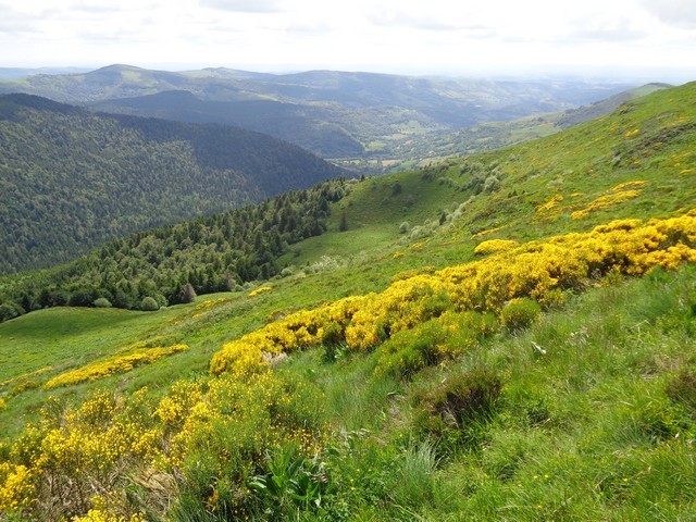  vallée du Falgoux