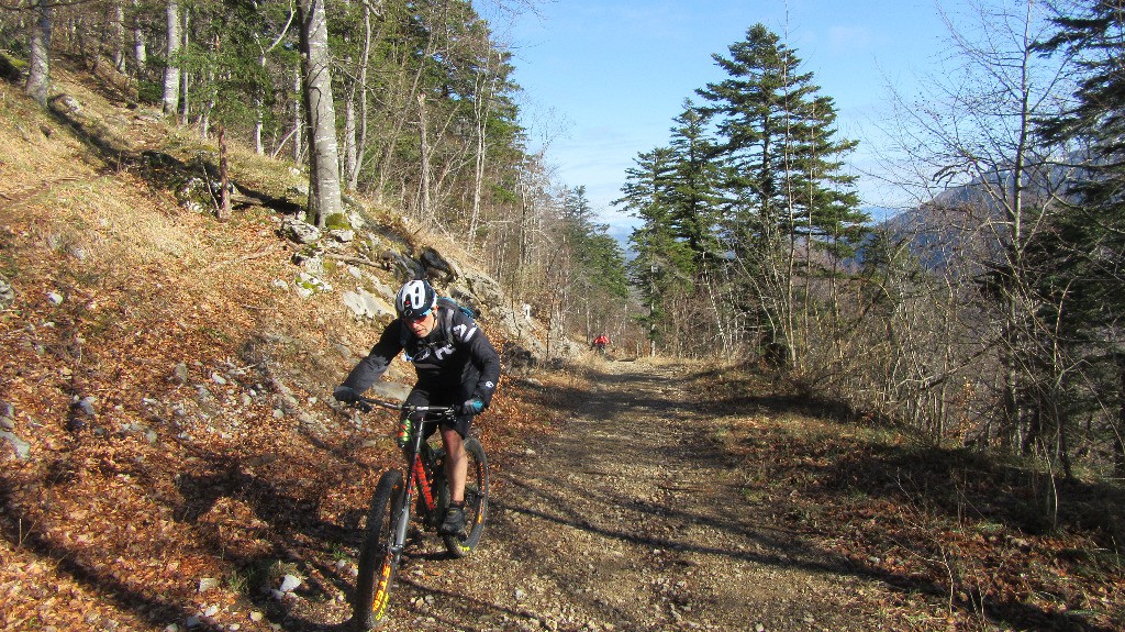 #3 Robin sur la route forestière du Creux du Loup, départ du portage du Mont Baron à gauche Robin sur la route forestière du Creux du Loup, départ du portage du Mont Baron à gauche